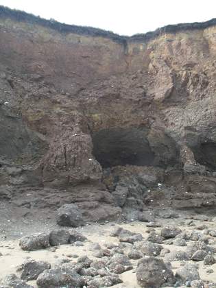 Mud erosion, South Beach. &copy; Sandra Lemonsand Ed The Wonder Dog!