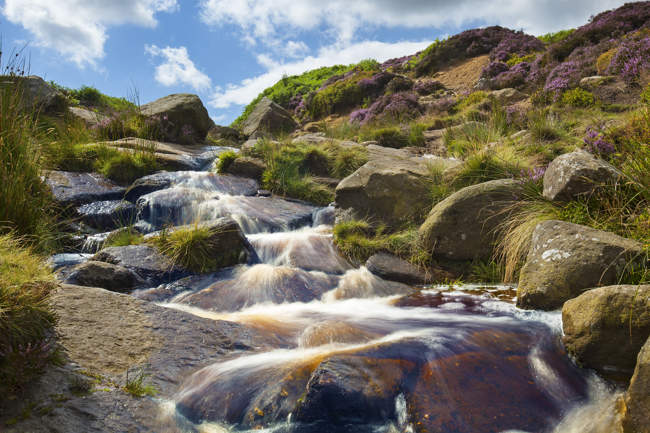 Ilkley Moor