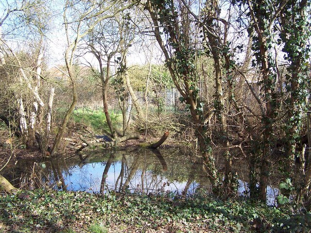 Pond in Iver Heath Nature reserve