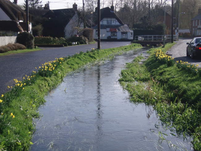 View of Kings Somborne &copy; John Werrett