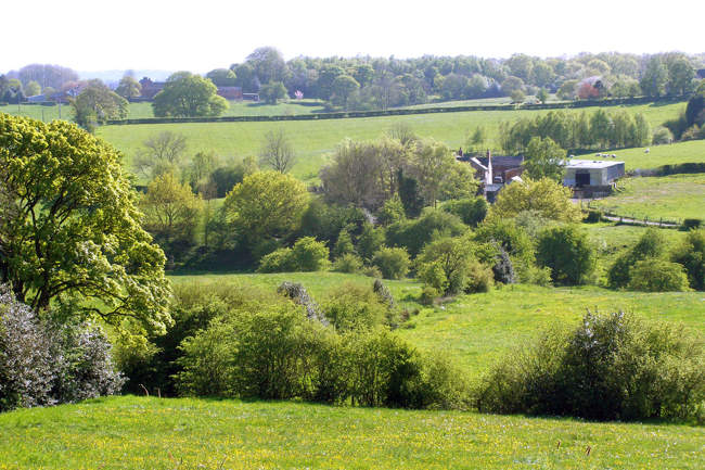 Kingsley &copy; RodJonesPhotography.co.uk