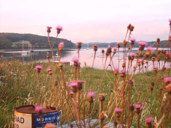 Landshipping - looking up towards Slebech on the eastern Cleddau &copy; Sarah Hoss