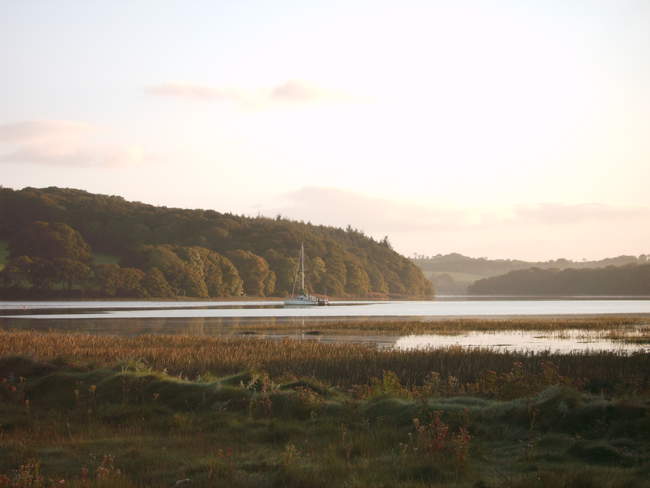 Eastern Cleddau from Landshipping &copy; Sarah Hoss