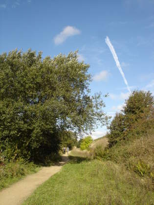 National Cycle Route Linby
