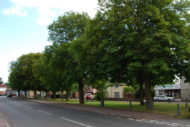 The green &copy; Philip Morgan