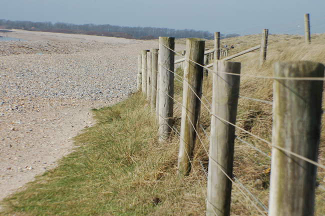 Windswept grass and pebbles lead to the fine white sand at a Littlehampton beach &copy; Debra Somner