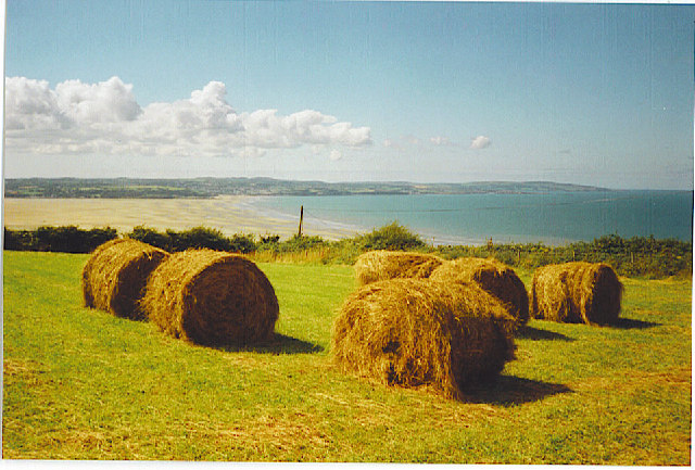 Harvest Field near Llanddona