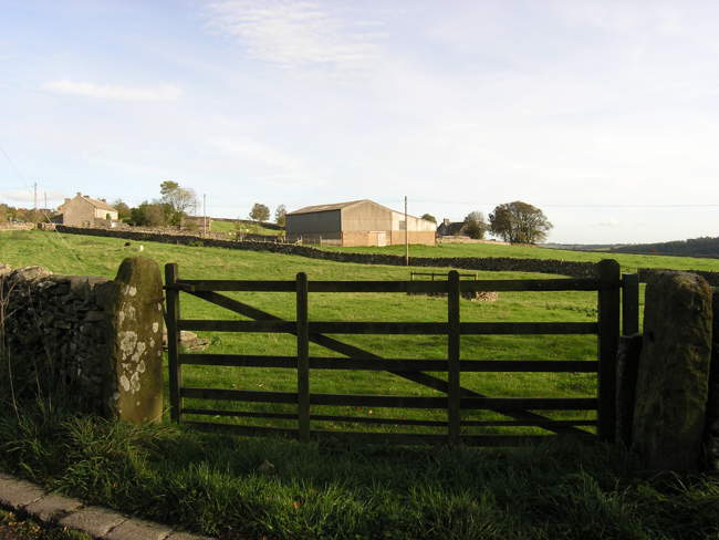 View of Marrick © Andrew Potter View of Marrick © Andrew Potter