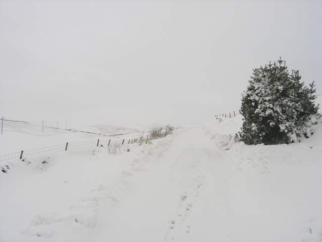 Winter in Marrick © Andrew Potter Winter in Marrick © Andrew Potter