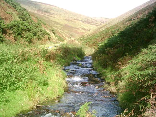 Just over the hill &copy; Karen Steadman