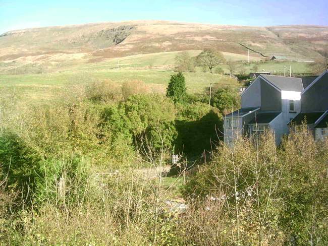 View up the mountain &copy; Karen Steadman