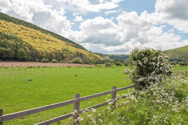 Summertime landscape in Radnorshire