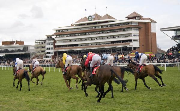 Jockeys race to the finish at Newbury Racecourse, Berkshire