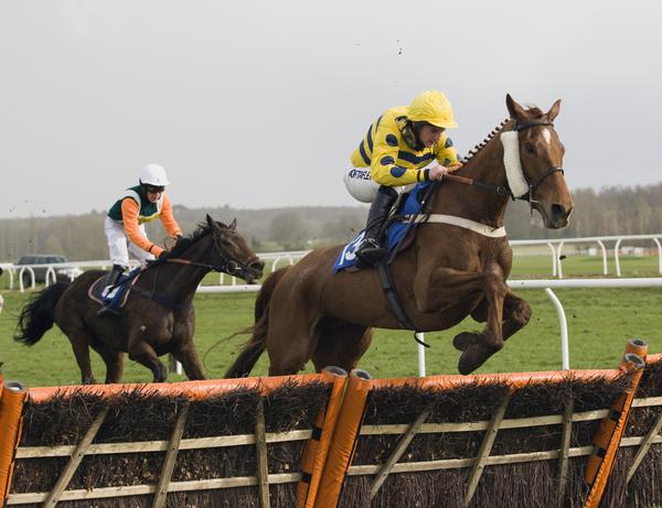 Hurdles Race at Newbury Racecourse, Berkshire