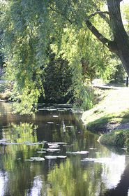 Canal, Newport Shropshire &copy; Dale Miles
