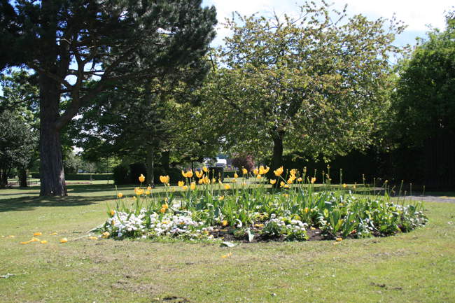 View of the Park © Robert Mclaren View of the Park © Robert Mclaren