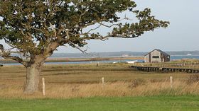 Newtown looking North across the Solent &copy; Bazz Sowerby 