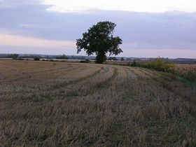 Beautiful countryside location in rural Suffolk &copy; Karen Sparkes