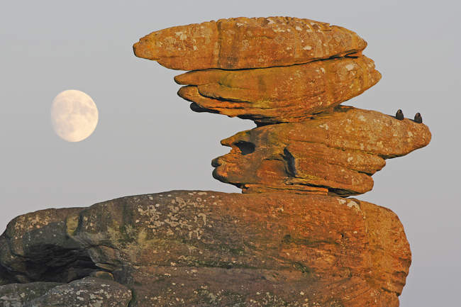 Moonrise At Brimham Rocks