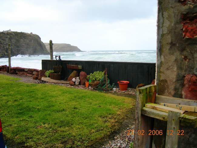 The garden of Driftwood Penan &copy; Susan Johnson