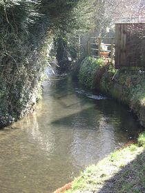 Calm river running thru Pewsey &copy; Emma Marshall