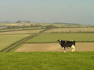 Piddlehinton Countryside &copy; Helen Frost