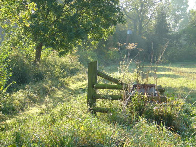 On the walk from Piddlehinton to White Lackington &copy; Helen Frost