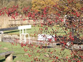 Pocklington canal &copy; SG Clark