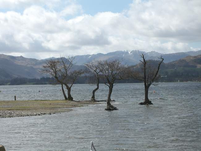 Lakeside Walk near Pooley Bridge - Easter &copy; Mrs Chris Bradley