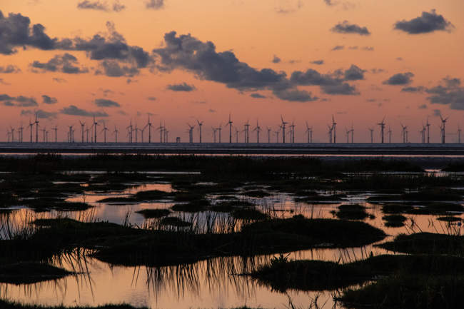 RSPB nature reserve beach between Prestatyn & Talacre