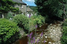 The beck at Ramsgill &copy; Jamie-Rose Campbell