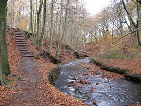 Roddlesworth late Autumn 07 &copy; Anthony J Martin