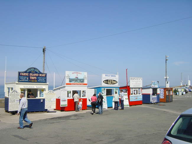 Boat Trips To Farne Islands &copy; Michael Costigan