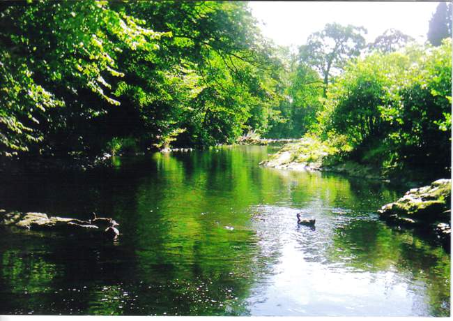 Tavistock &copy; Dave Wilton 