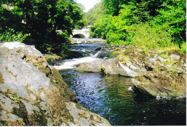 Tavistock &copy; Dave Wilton 