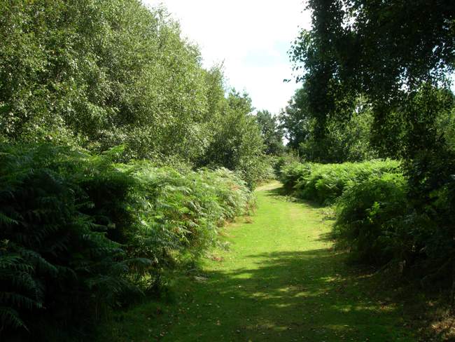 A Nature Walk &copy; Peggy Cannell