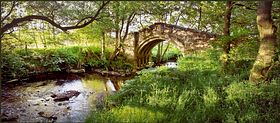 Medieval Bridge &copy; Steve aka Sam Jackson