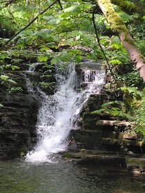 Waterfall in Slit Wood, Westgate County Durham &copy; Paul Craig