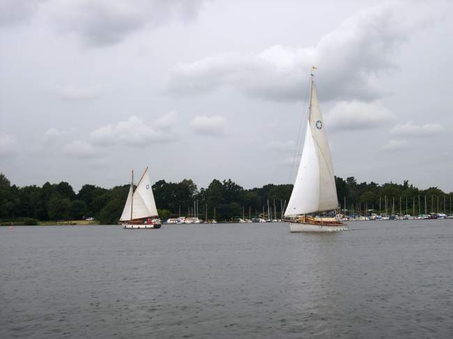 Sail boat on Norfolk Broads, close to Wroxham &copy; Margaret Marchant